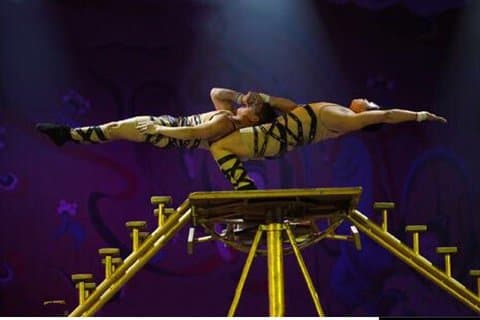 Beijing Red Theater Acrobatic Show with Private Transfer Service