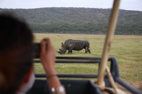 1-dagers Lake Nakuru-tur