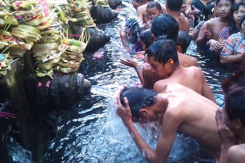 Holy Spring Water Purification & Ubud Nature Tour