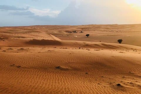 Pacchetto di 2 giorni per tour in campeggio privato (1 campo notturno a Wahiba Sands)