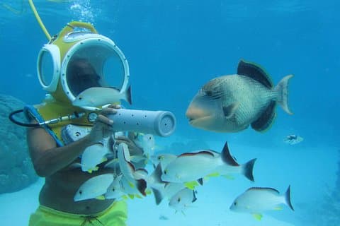 Aquablue Moorea