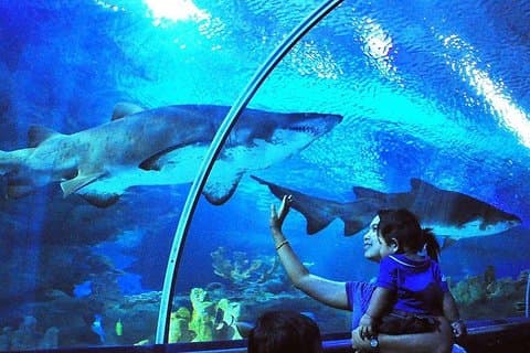 Aquaria KLCC-inngang med kjente landemerker i Kuala Lumpur City