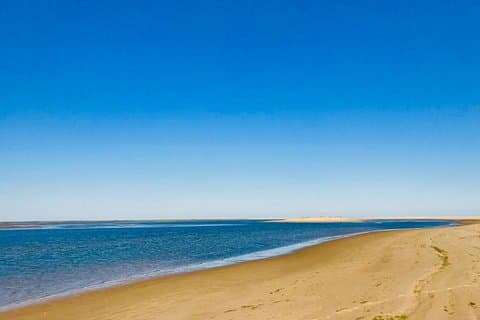 1 or 2 Hour Speed Boat Tour - Ria Formosa