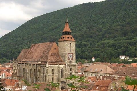 Private Tour of Brasov and Libearty Bear Sanctuary Zarnesti