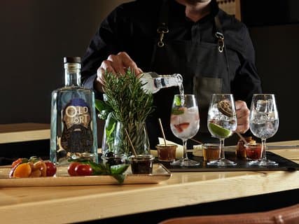 Guided Gin tasting experience in Athens with Snacks