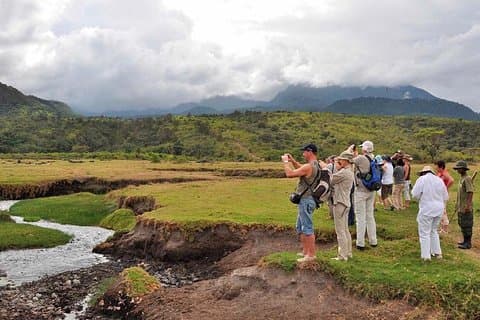 Arusha National Park Pirschfahrt und Walking Safari Day Tour