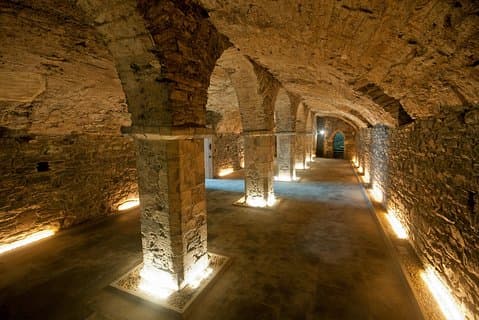 Waterford Treasures: Medeltidsmuseets entrébiljett