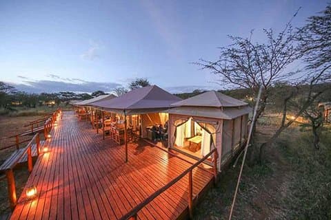 7 Days: Great Migration Mara River Crossing(manyara, Ngorongoro And Serengeti)