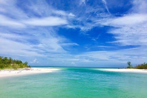 Dolphin and Shelling Cruise for up to 12 people