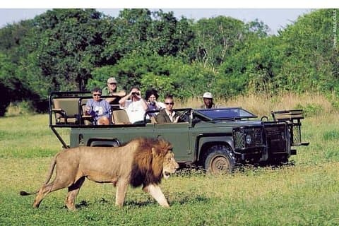 Pilanesberg ganztägige Safari privat