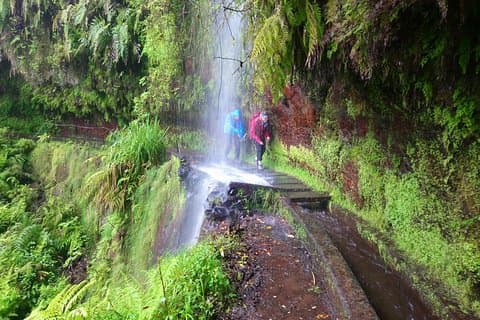 Caminata en Laurisilva Levada do Rei - Caminata guiada en grupo pequeño Madre de Vida