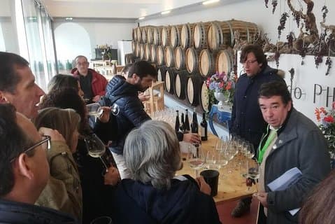 Dégustation de vin et expériences culinaires de la région de Lisbonne - Setúbal