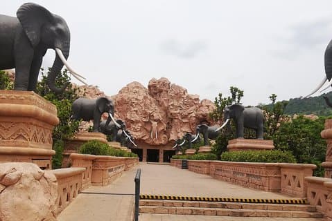 Pilannesburg Game Reserve en Sun City Full Day Tour vanuit Johannesburg Private