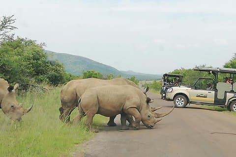 Eintägige Krüger-Nationalpark-Tour Privat