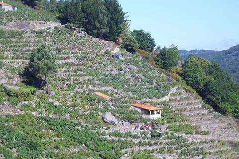 Ribeira Sacra van Lugo