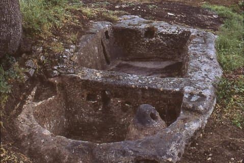 Guided tour of the Palmenti of Pietranico
