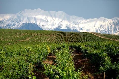 Tour privato del vino in Azerbaigian