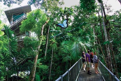 Daintree Discovery Centre Single Pass