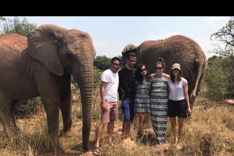 Elefantvandring Guidad tur från Johannesburg