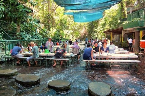 Villa Escudero Tour with Lunch From Manila (SHARED)