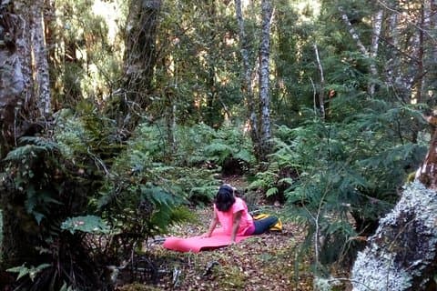 Caminhada da Terapia da Natureza