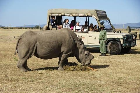 Viagem de um dia para Ol Pejeta de Nairobi