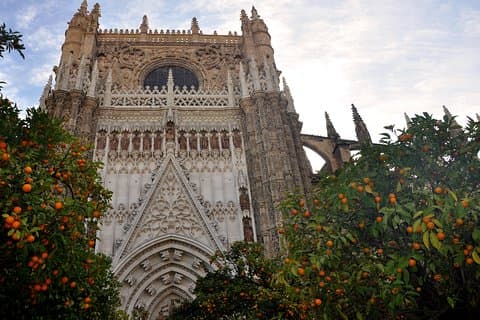 Cathédrale de Séville & Giralda : Visite guidée avec billets Fast-Track