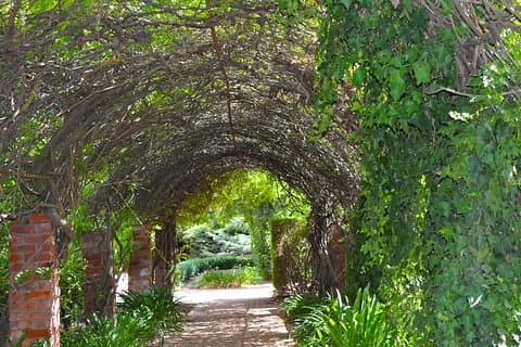 Tour en grupo pequeño por la puerta de la bodega del valle de Barossa