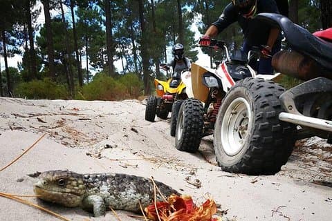 1 Hour Quad Bike Tours, only 30 minutes from Perth