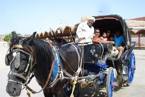 Tour por la ciudad de Asuán en carruaje de caballos