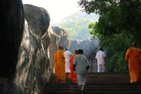 6 dagars privat rundtur i Sri Lanka
