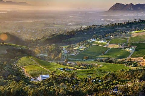 Hele dag Cape Point + Constantia wijntour met privétransfer