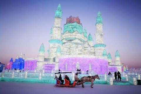Harbin Group Day Tour: Harbin Ice and Snow Festival