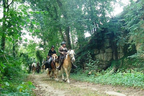 Balade à cheval dans la campagne française entre Paris et Lille