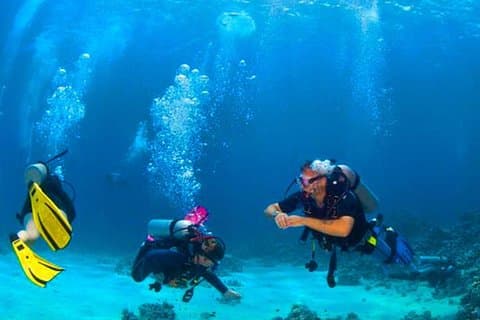 Curso de Mergulho Reactivo-Refresher Roatan