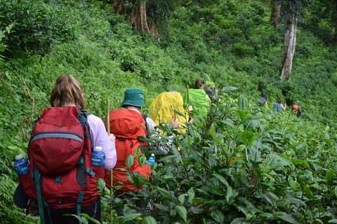 3-tägigeChiang-Dao-Mountain-Wanderung