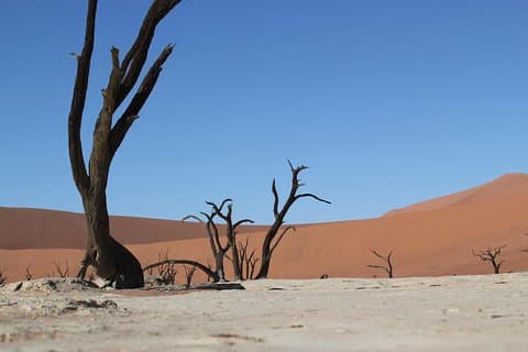 6 Day Sossusvlei to Swakopmund Self-Drive Tour (B&B & Camping)