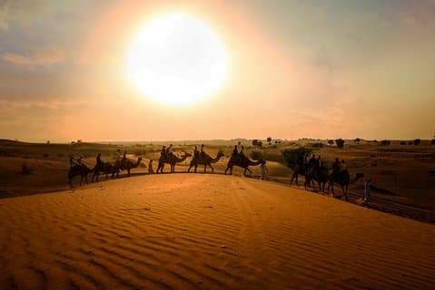 Dubai Sunset Camel Trekking con cena barbacoa
