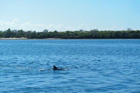 4-dages Diani Beach All Inclusive Getaway