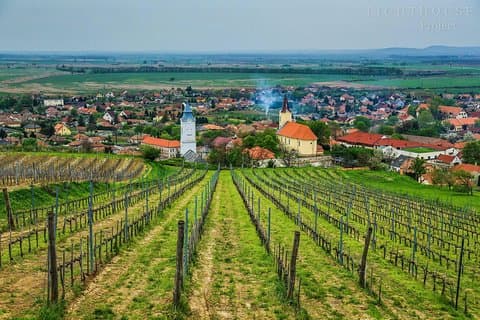 Tokajische ganztägige private Weintour von Budapest