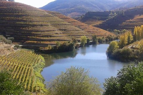 Vale do Douro - Régua - com degustação de vinhos e comidas locais