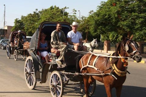 City Tour em Aswan por cavalo e carruagem