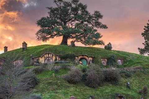 Hobbiton Movie Set Tour da Auckland