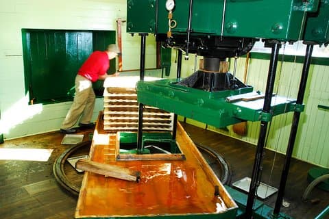Privat rundtur med Ägaren av Fly Creek Cider Mill & Orchard