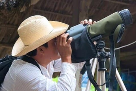 Bird watching in La Mancha