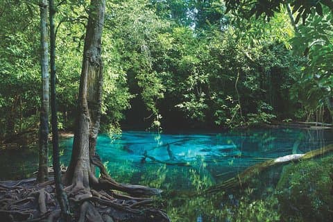 Kayak ad Ao Thalane - Scopri la vita delle mangrovie