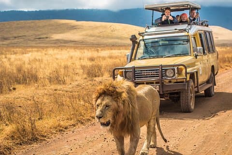 4 Tage Tansania Safari - Tarangire, Serengeti, Ngorongoro Krater
