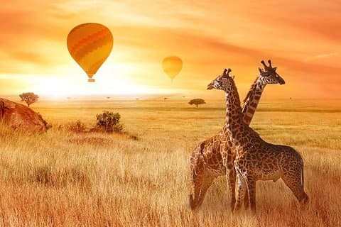 5 Tage Tansania Safari- Tarangire, Serengeti, Ngorongoro, Manyara