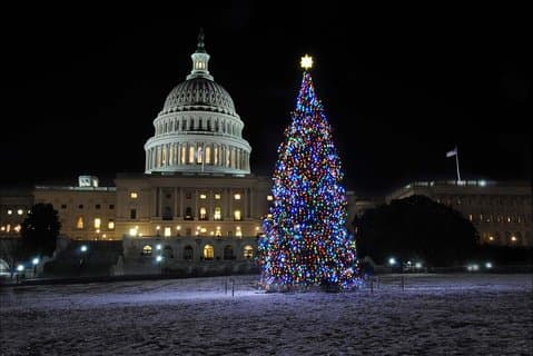 ホリデー・ライツ・ツアーワシントンDCとアレクサンドリア旧市街