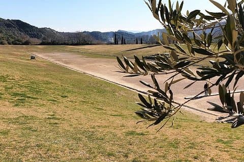 Olympia Shore Ex: Premium Private Package -Tickets & Olive Market
